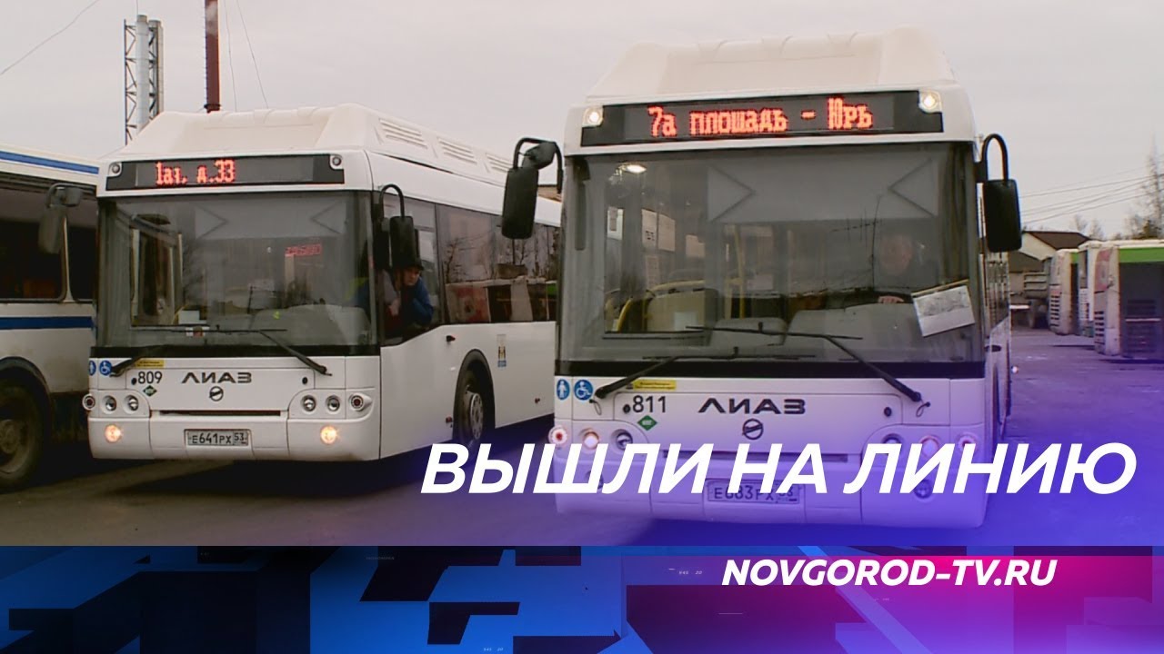 На маршруты Великого Новгорода вышли 28 новых ЛиАЗов