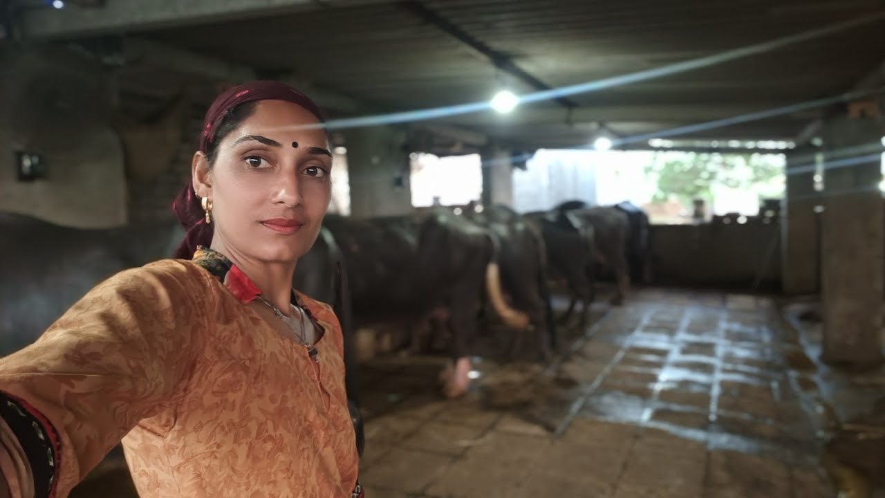 ઉનાળાની સિઝનમાં તબેલામાં શું તકલીફ પડે??