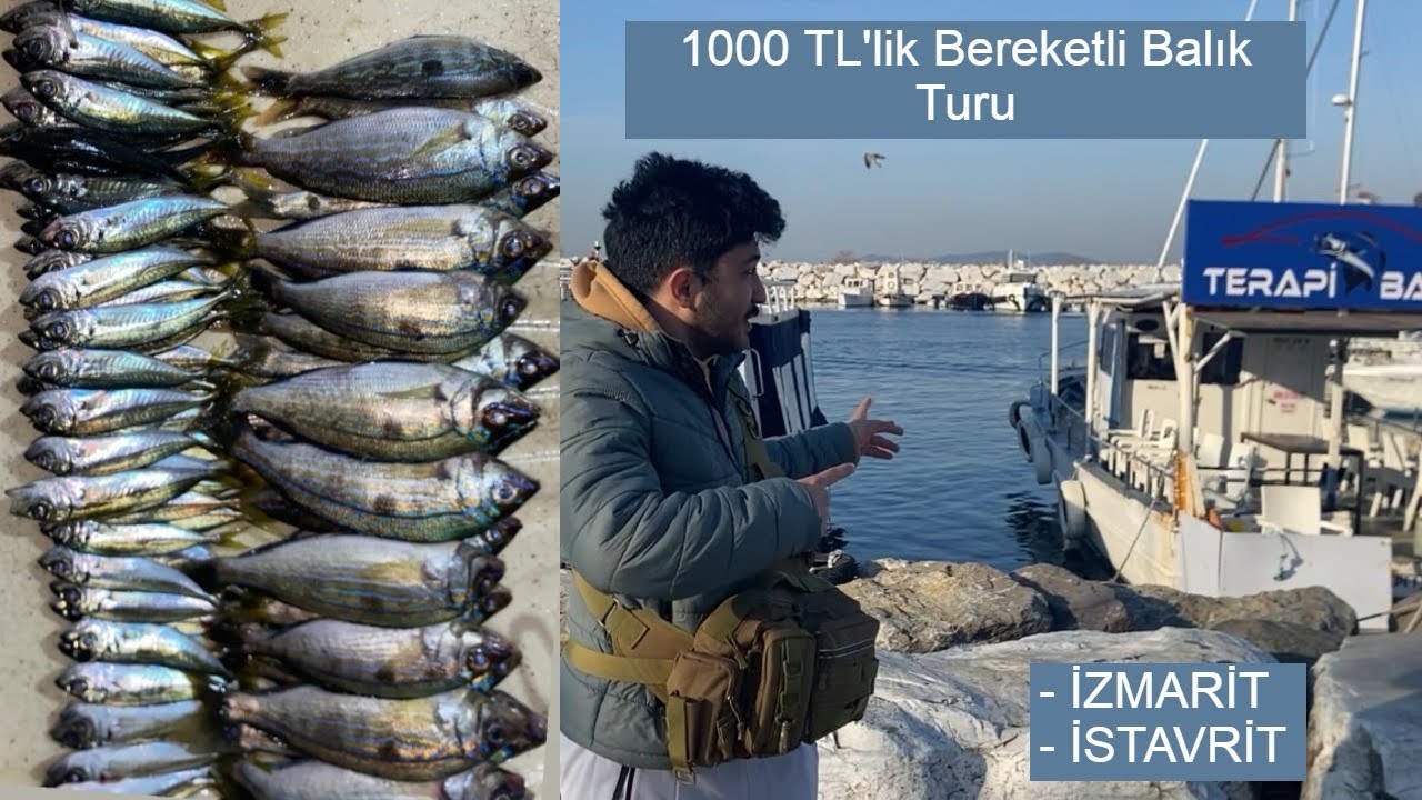 1000 TL’lik Balık Turu (İstavrit Ve İzmarit Avı)