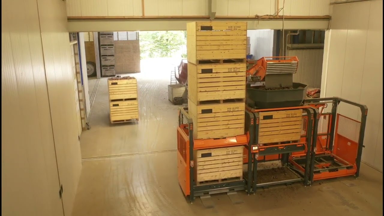 Наполнитель ящиков Van Hees Machinery для сбора урожая лука
