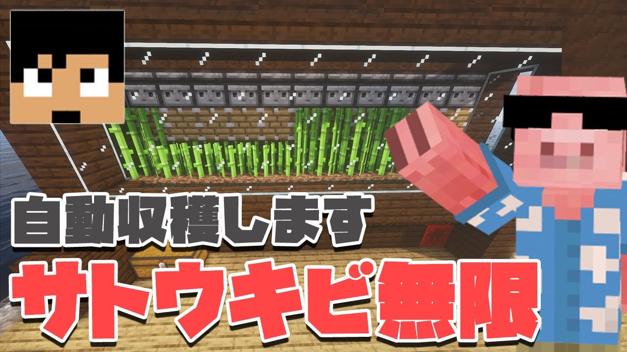 【マイクラ】エリトラのお供に誰でもできるズボラ式サトウキビ無限装置#35 【MENクラ】【カズさんワールド2021】