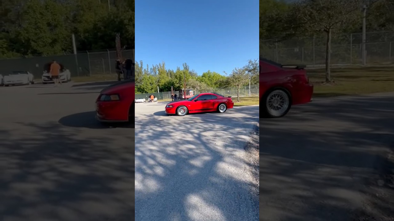 Variety is Key! 