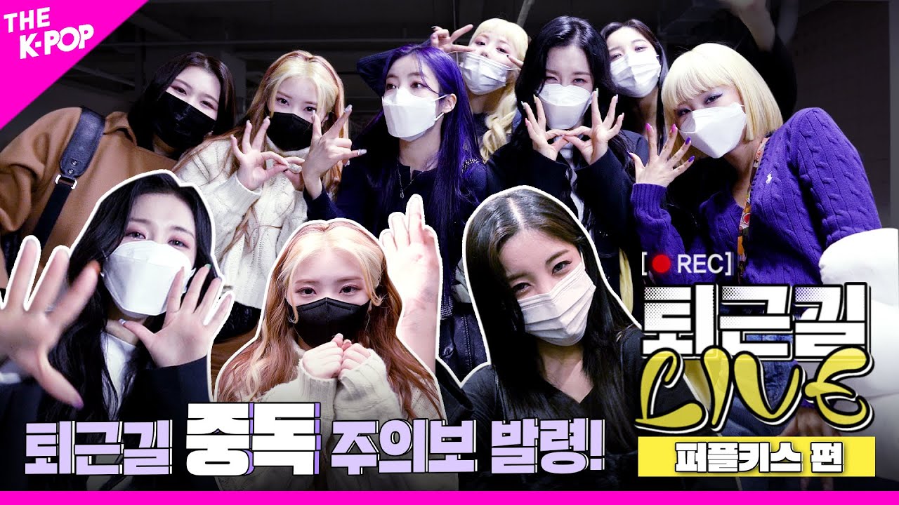 [퇴근길 LIVE 4K] 퍼플키스에게 중독될 수 밖에 없는 퇴근길 현장💜