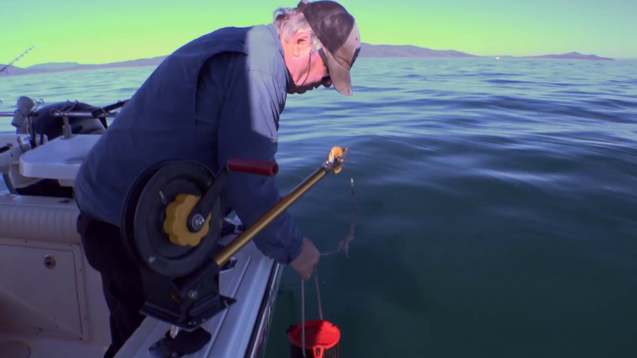 Berley Basics for Boat Fishing