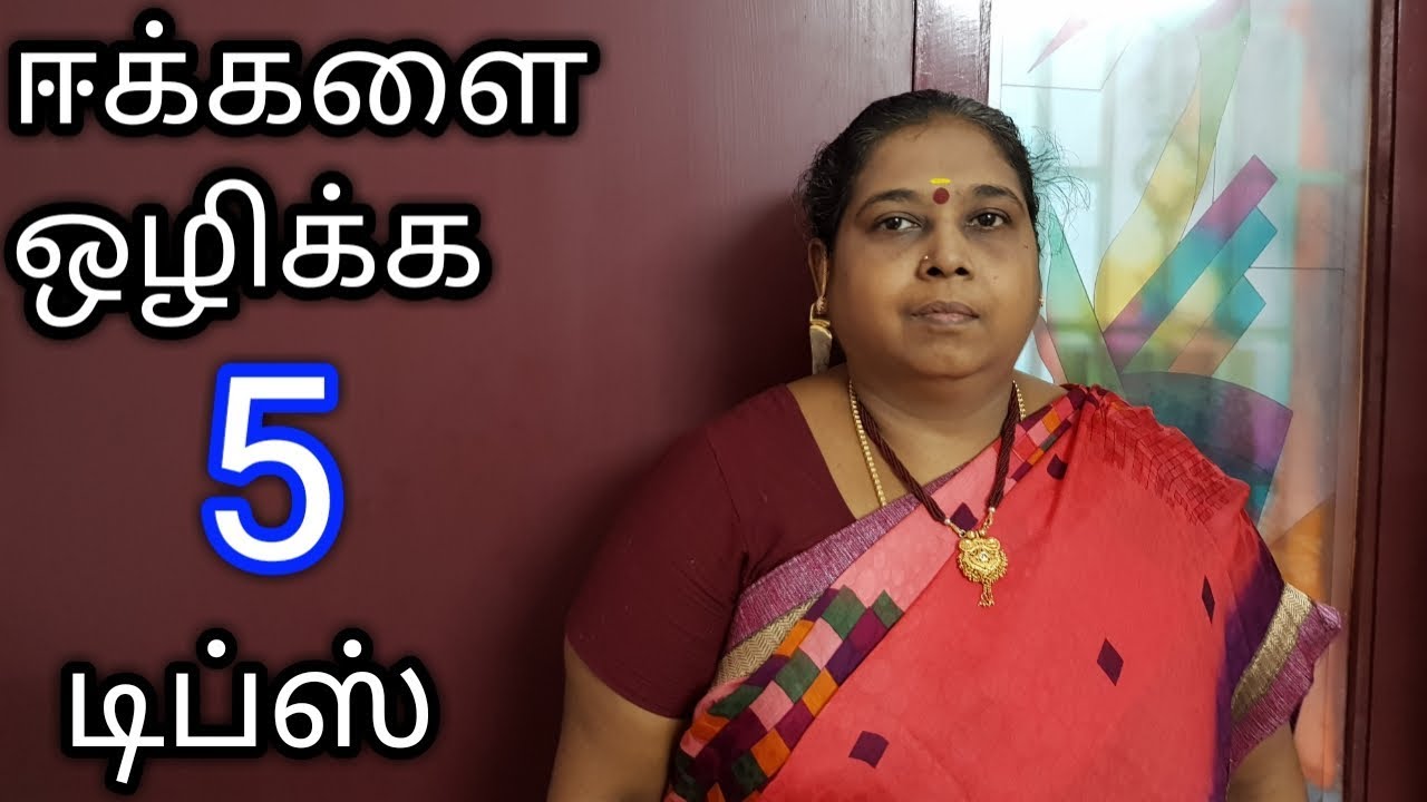 5 Tips to get Rid of House flies In Tamil