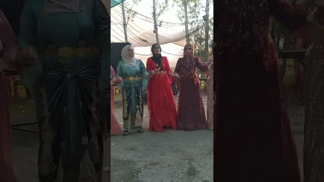 Van çorevanıs  davut aşan'ın düğünü YENİ