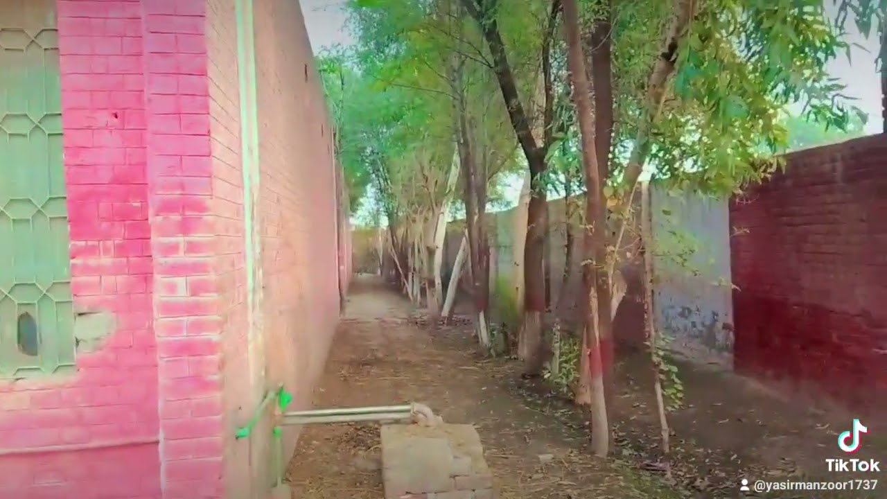 Government High school Mirdad Maufi Malik Mujahid Mirdadia New vlog brand