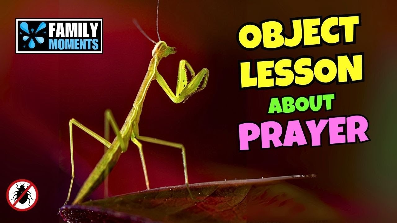 The Most Unexpected Object Lesson on Prayer… with a Bug?! 🐛✨