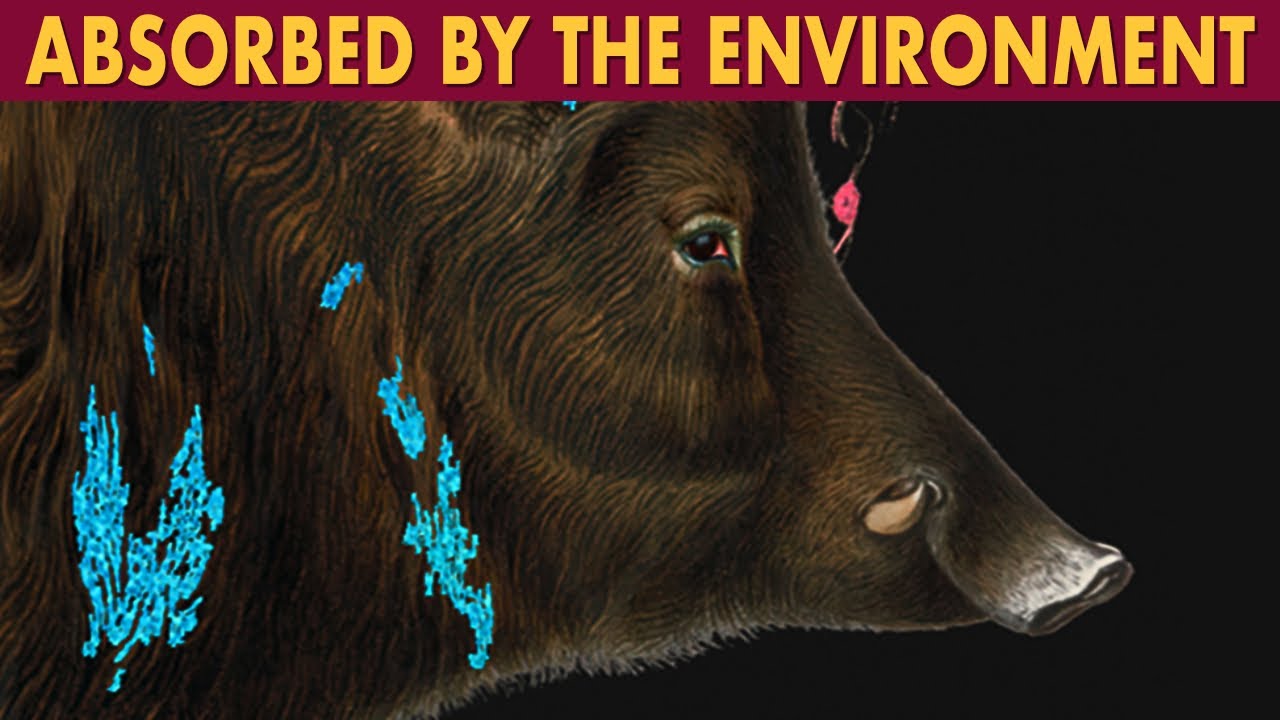 Jeff VanderMeer's &ldquo;Annihilation&rdquo;