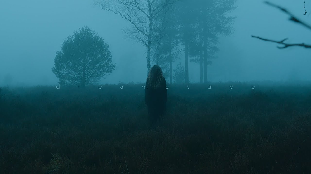 aarise - lost in suffering