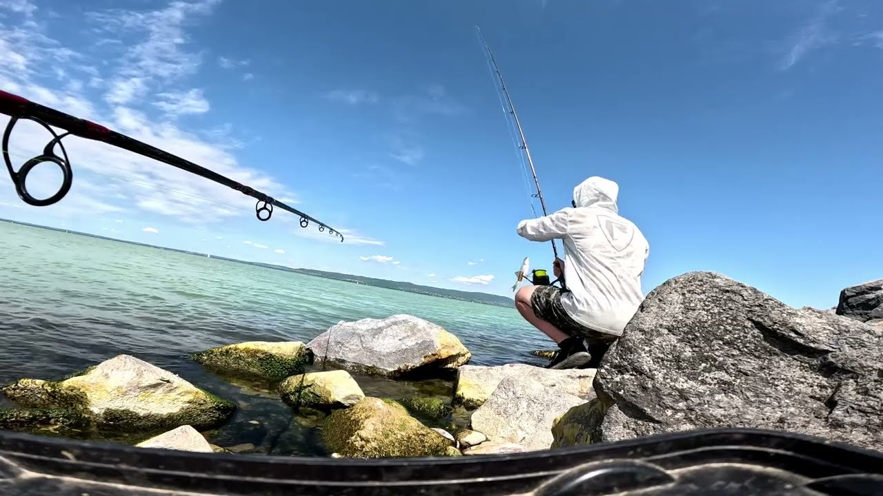 Bulipeca a Balatonon