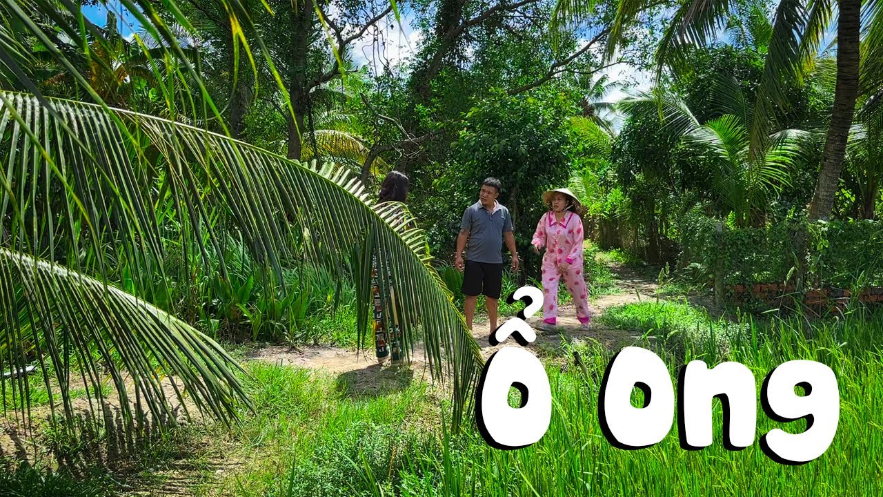 Ổ Ong #videogiaitri #vochongson #nguyenhuyvlog
