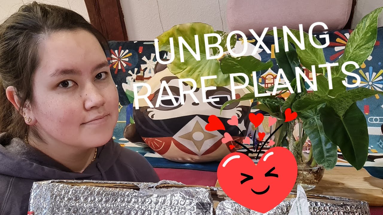 Seltene Pflanzen UNBOXING