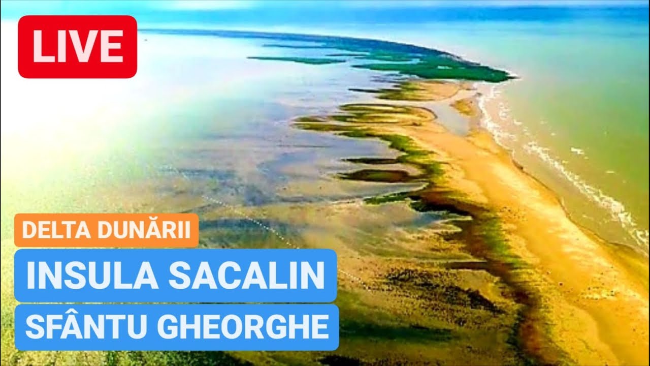 🔴 LIVE - INSULA SACALIN - SFÂNTU GHEORGHE | Delta Dunării