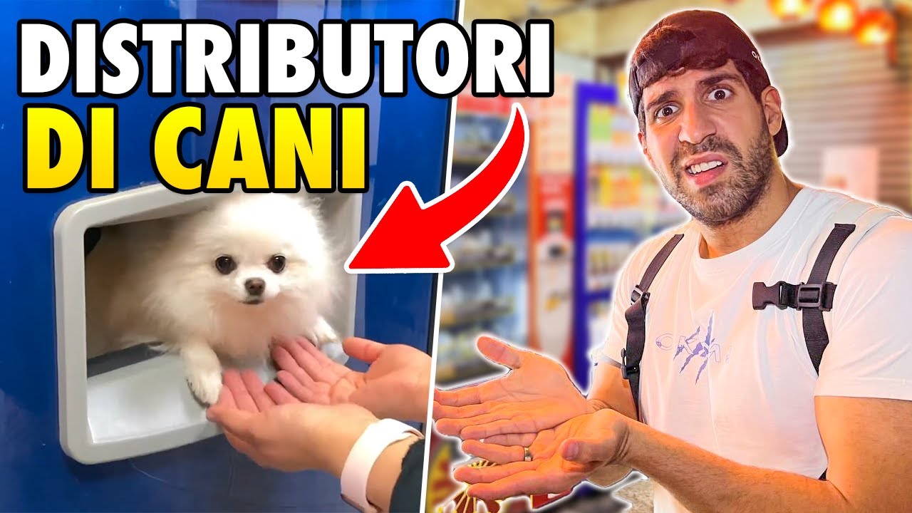I PI&Ugrave; PAZZI DISTRIBUTORI AUTOMATICI IN GIAPPONE