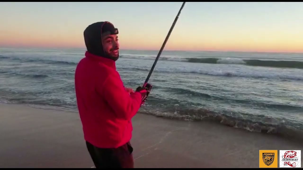 DORADAS en VALENCIA a SURFCASTING