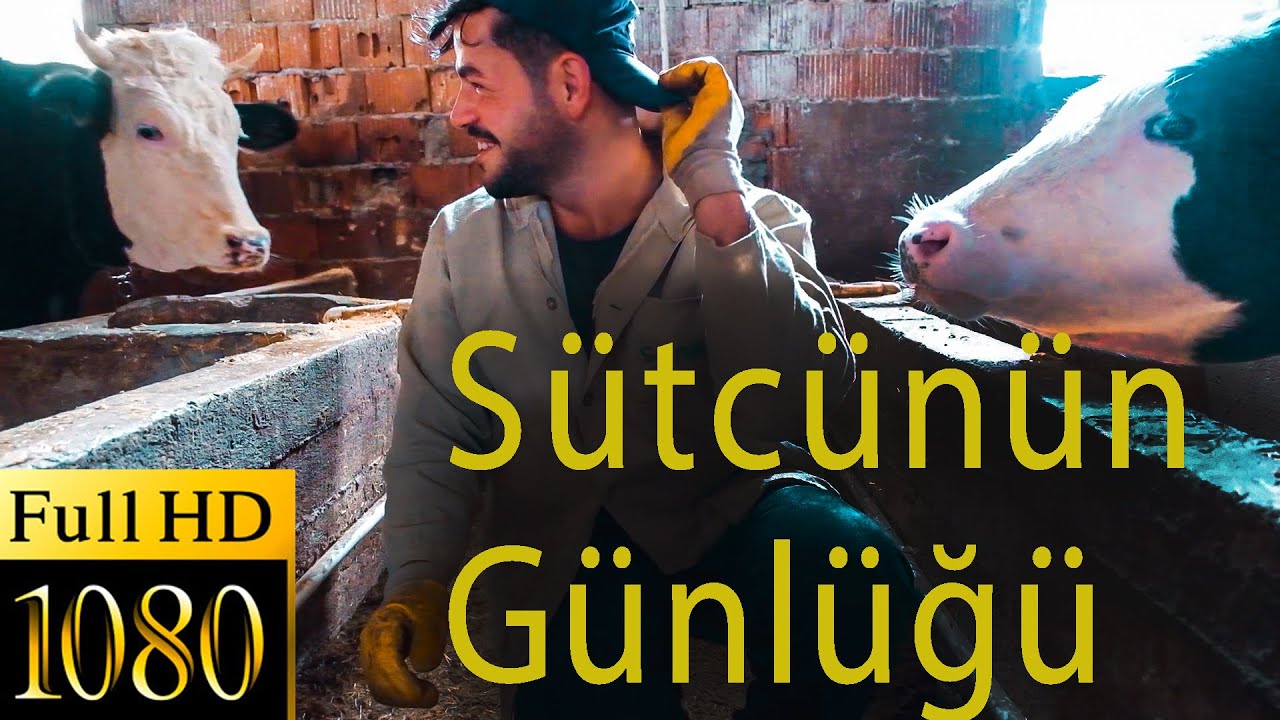 Sütçünün bir günü -BELGESEL