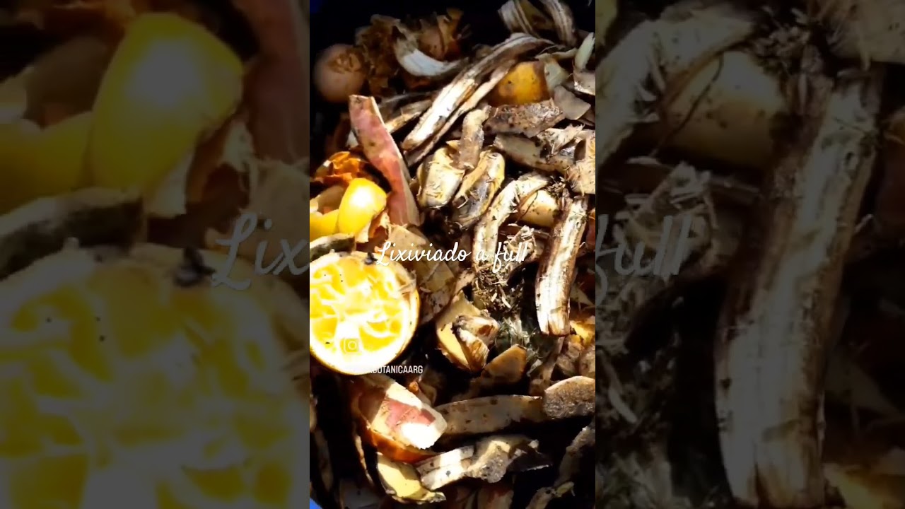 Lixiviado del compost en casa 🏡✅️👏