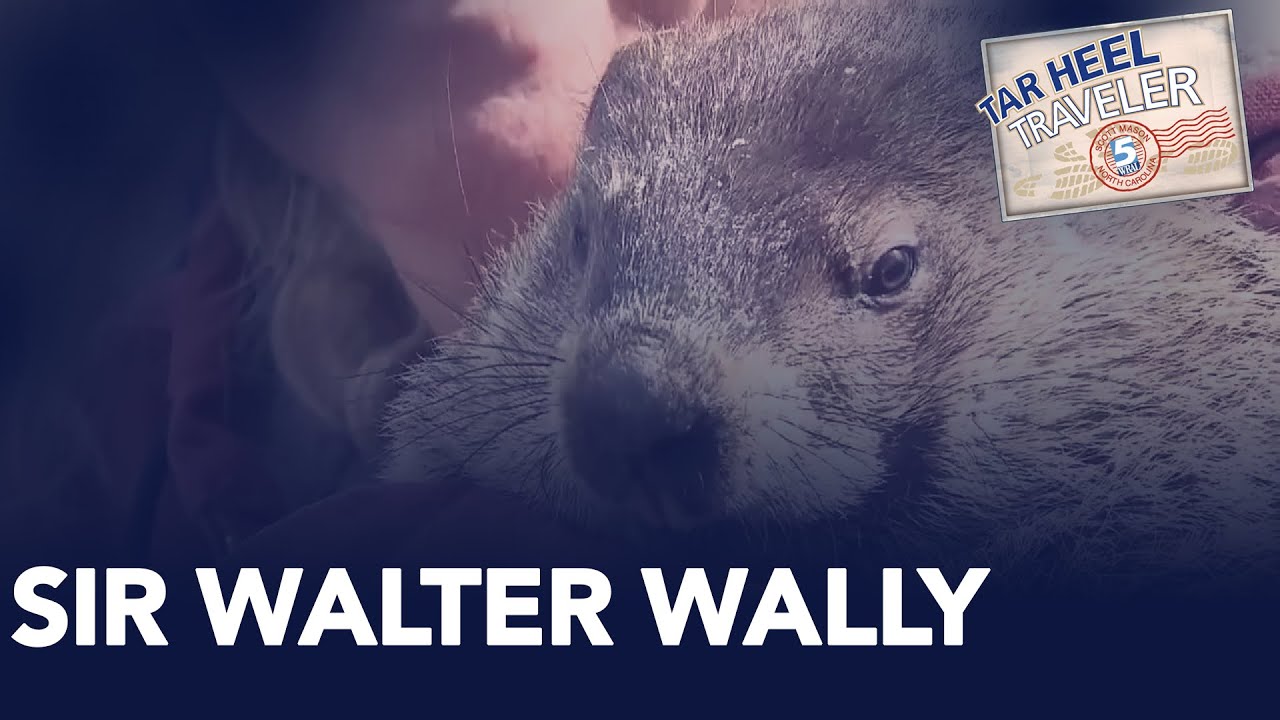 Tar Heel Traveler: Sir Walter Wally