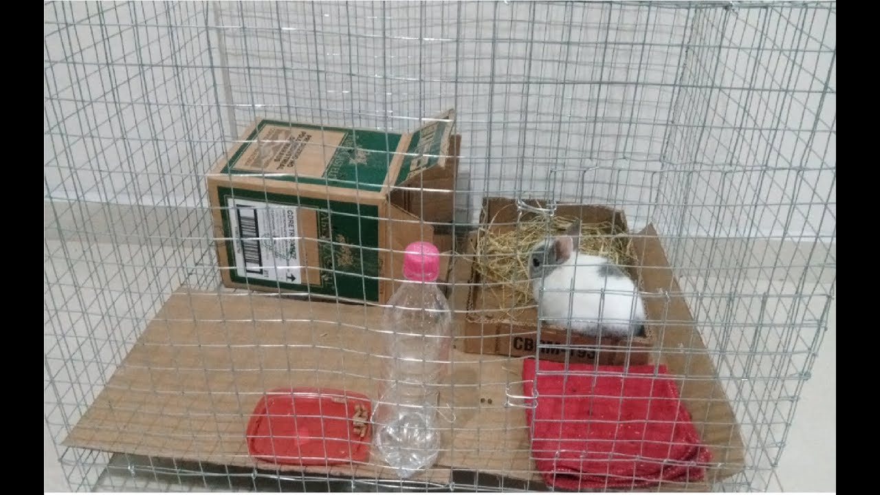 Como fazer gaiola com tela soldada e arame, para aves coelhos etc