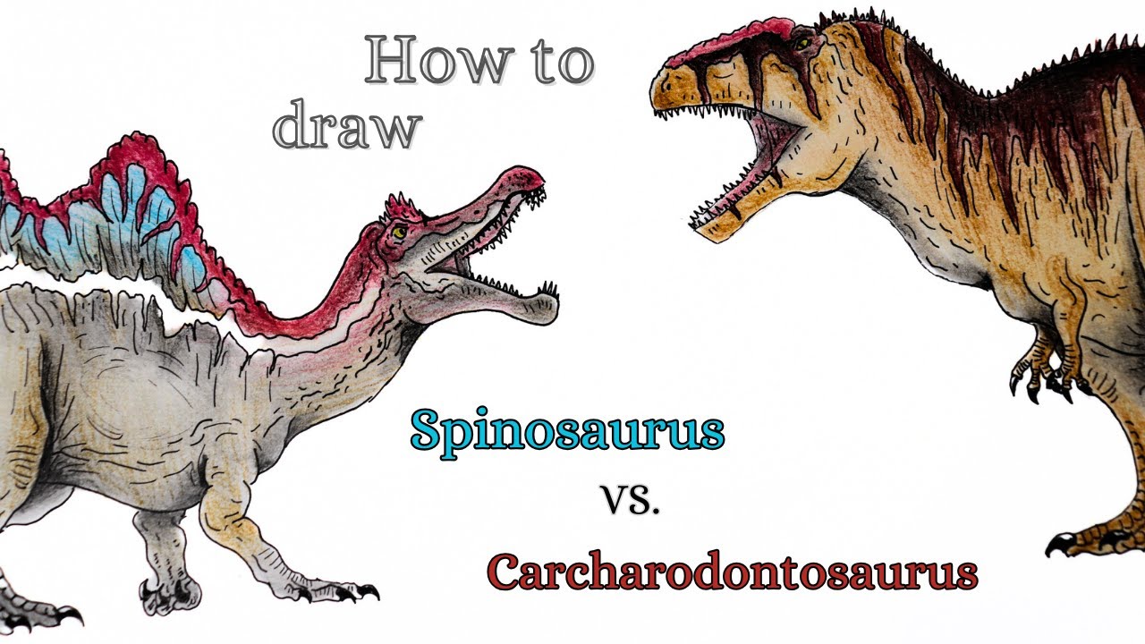 How to draw Spinosaurus vs. Carcharodontosaurus