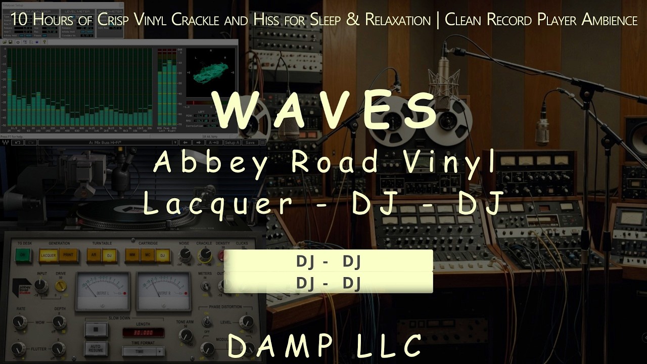 10 Hours | Waves Abbey Road Vinyl | Lacquer-DJ-DJ | Sleep & Relaxation | Record Player Ambience ASMR