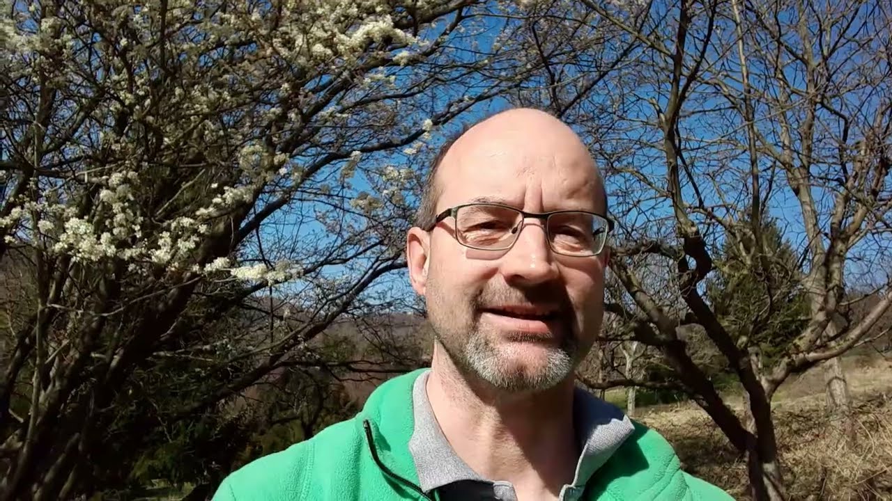 Mehr Bl&uuml;ten durch richtigen Strauchschnitt