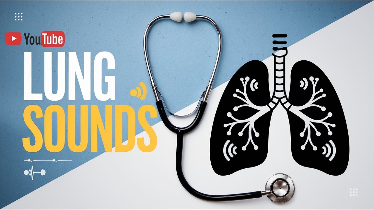 Breath Sounds made EASY (Fast Paced Overview with sounds' audio)