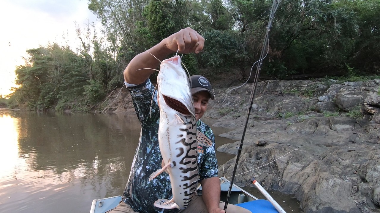 QUAl A MELHOR ISCA PARA PEGAR ESSE PEIXE???
