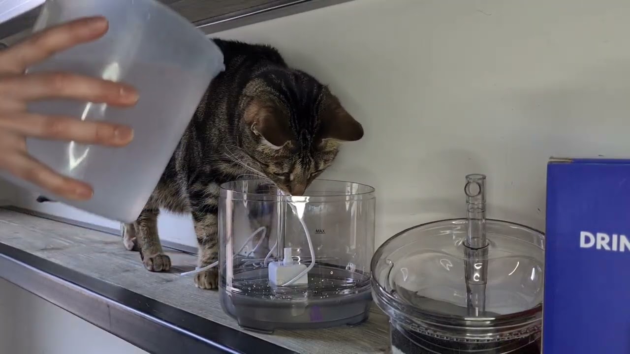 Cas & Lux Drinkfontein voor katten 1 5liter