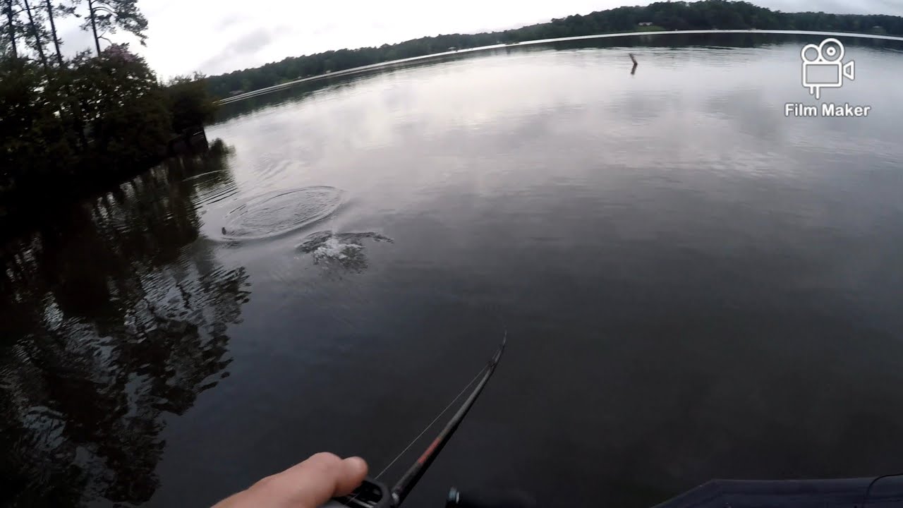 Struggling on Lake Harding