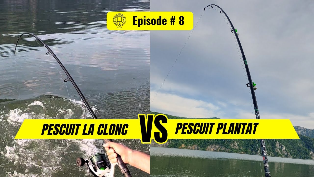 Pescuit la clonc VS pescuit plantat Podcast ep 8 #f4fcatchthemoment #podcast #fishing #pescuit