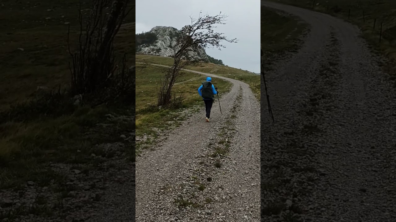 Chorvatsko stra&scaron;n&yacute; v&iacute;tr na cestě z Planinarskeho domu Hahlić