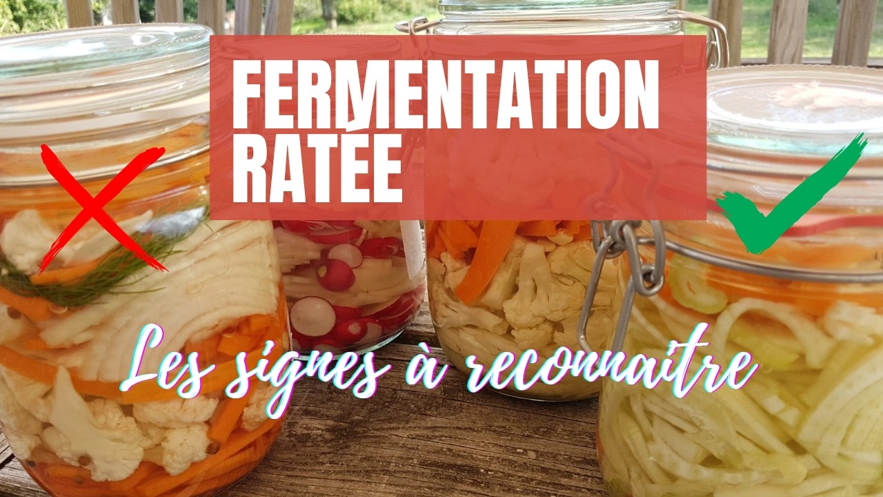 FERMENTATION : Comment savoir si c’est réussi ? (Les erreurs à éviter !)
