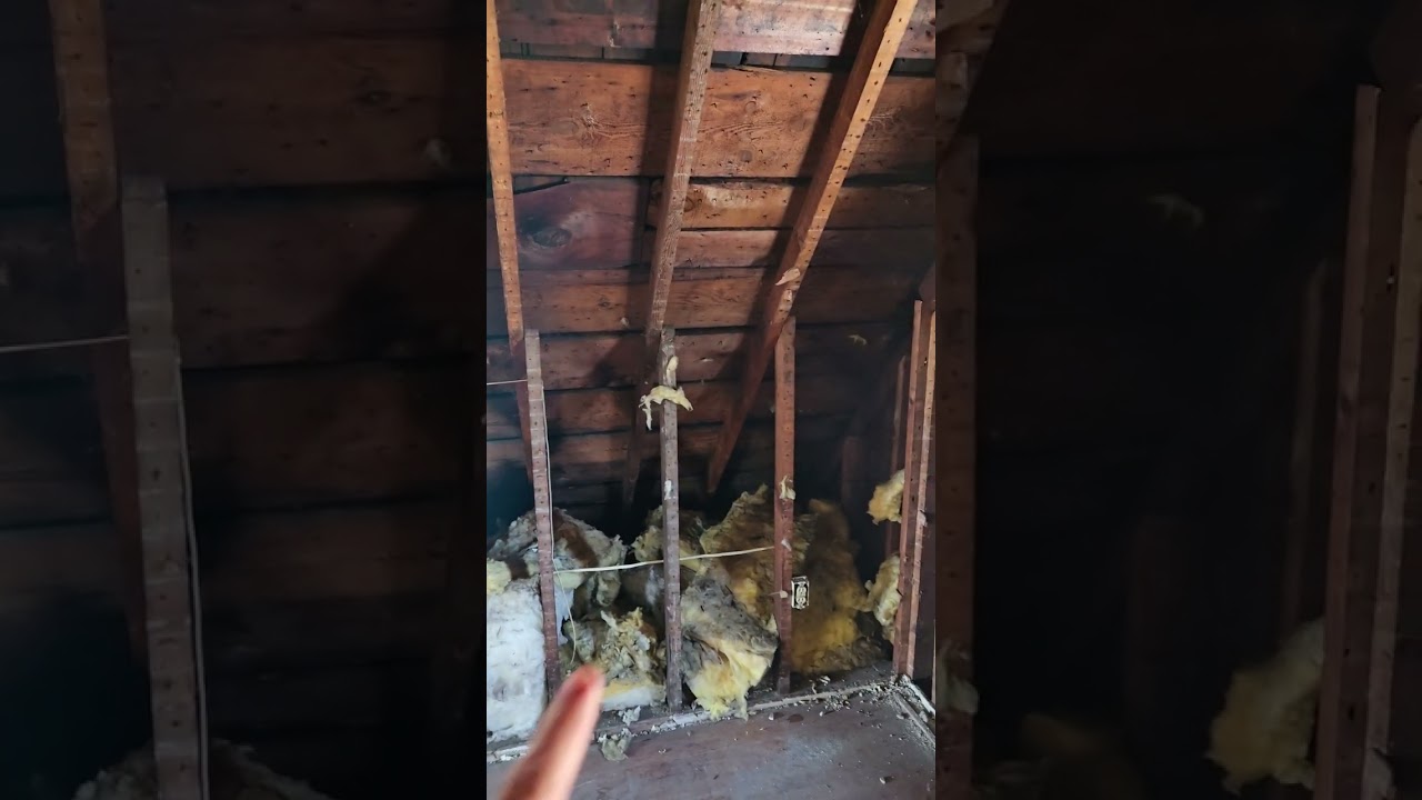 Want to add a shed dormer to add an upper level bathroom.
