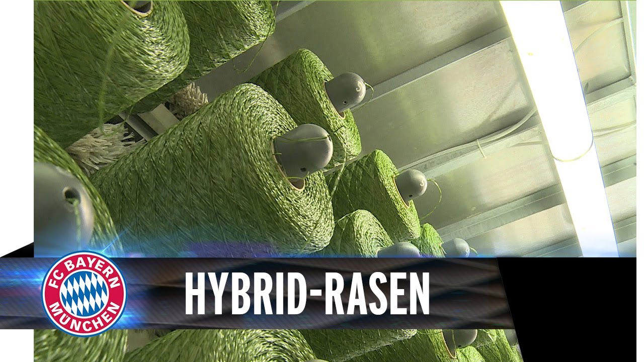FC Bayern auf Hybrid-Rasen | Allianz Arena