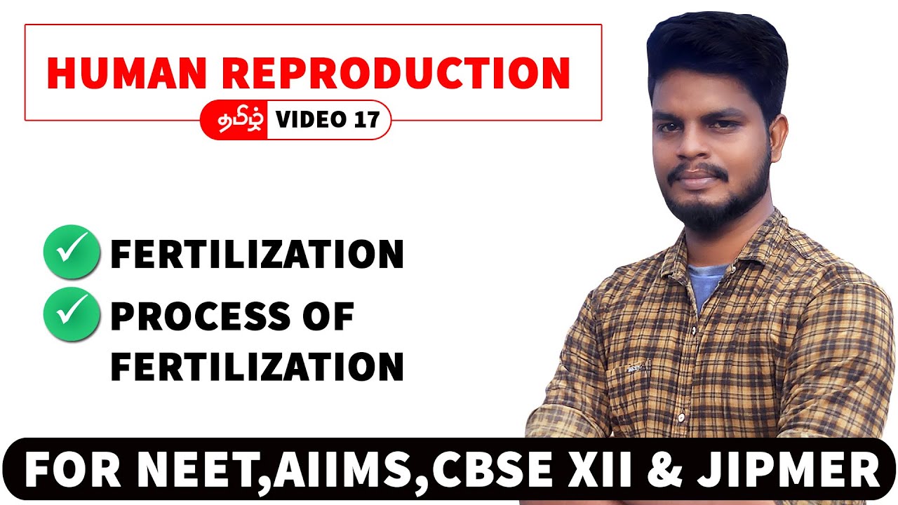 Fertilization in Tamil | Human Reproduction in Tamil (17)