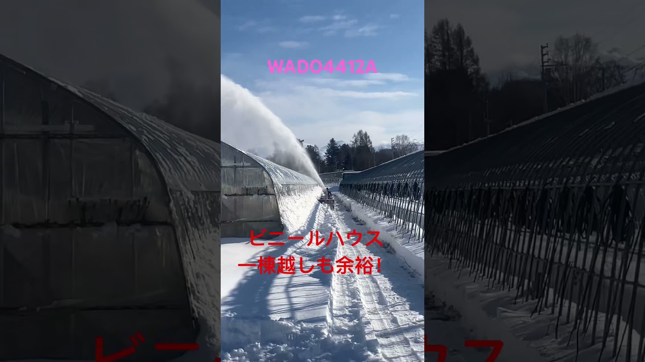 【WADO 4412A】