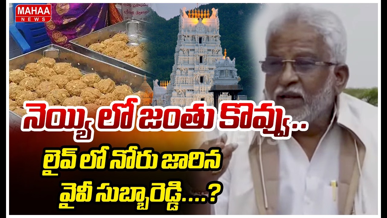 నెయ్యి లో జంతు కొవ్వు...లైవ్ లో నోరు జారిన వైవీ సుబ్బారెడ్డి....? | YV Subbareddy | Tirumala Laddu