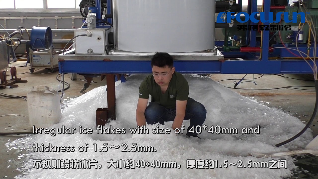10T Flake Ice Machine Hot Sale