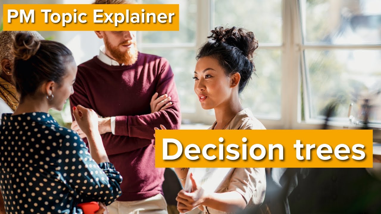 PM Topic Explainer: Decision trees