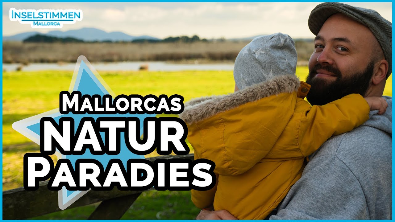 Naturschutzgebiet s’Albufera ⛰ | Mallorca Familienausflug 09