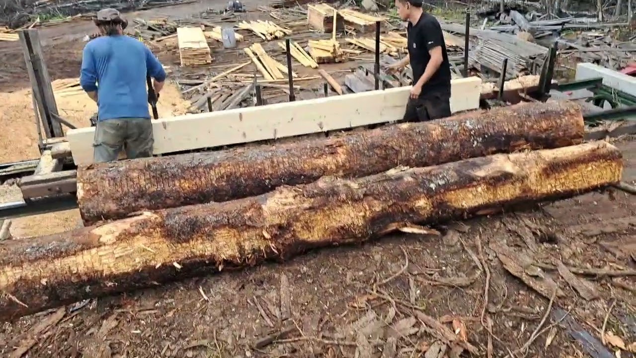 12 foot 2x4s on the Oxford sawmill