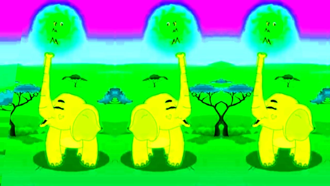 What!? Elephant have a wrinkles