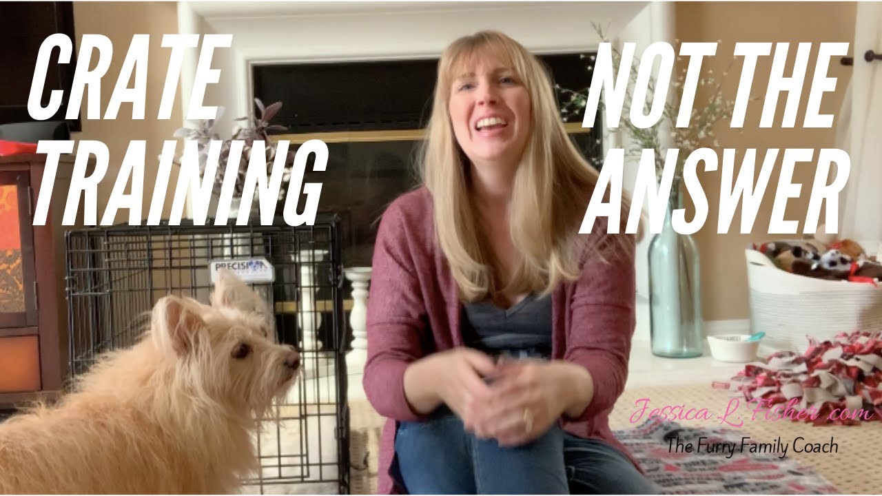 CRATE TRAINING YOUR DOG IS NOT THE ANSWER