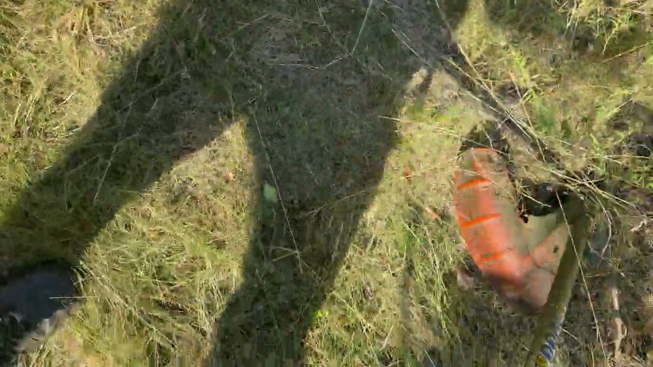 Professional weed cutting with a powerful petrol brushcutter, first person shooting on iPhone 16 Pro