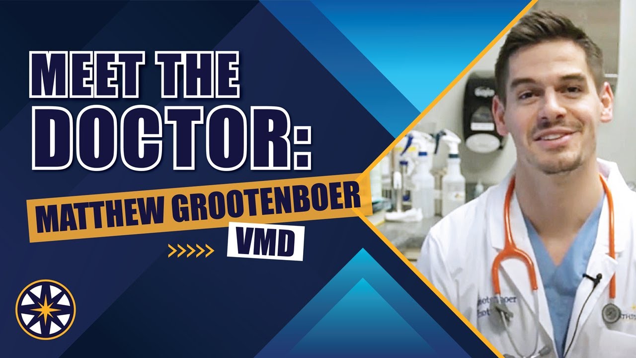 Meet the NorthStar VETS Team: Matthew Grootenboer, VMD