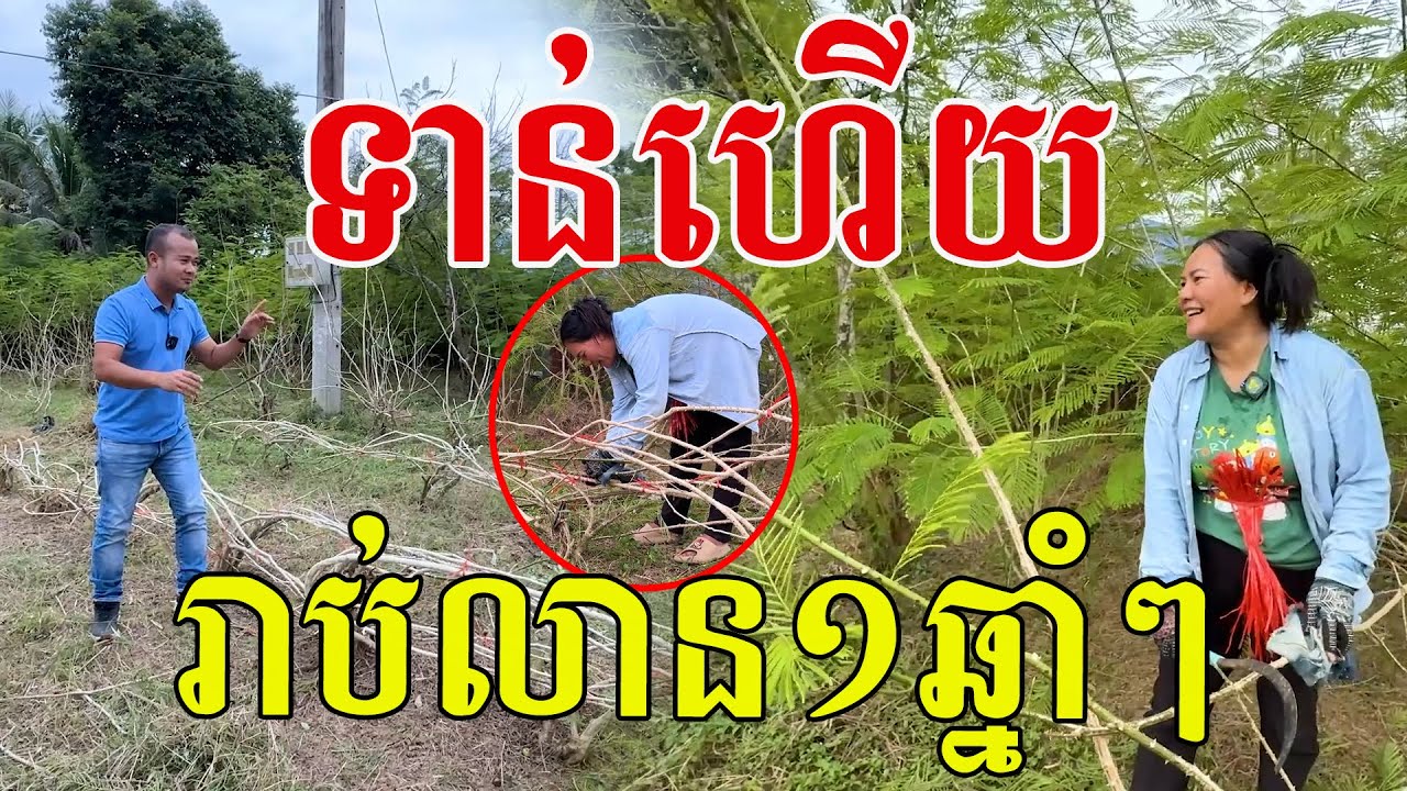 ទាន់ហើយ រាប់លាន១ឆ្នាំៗ ពេលចេញស្រុះគ្នាល្អណាស់