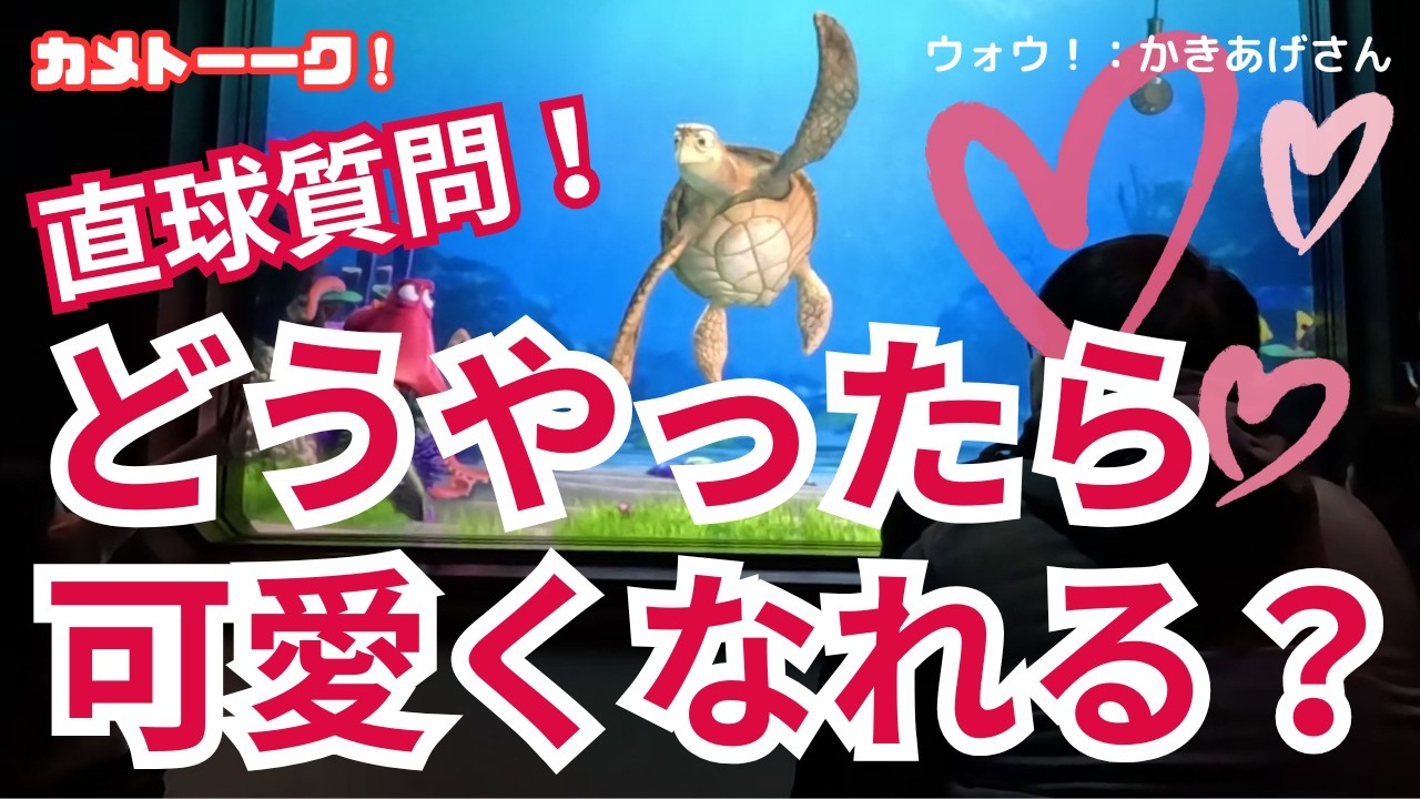 【直球質問】どうやったら可愛くなれますか？【東京ディズニーシー・タートルトーク】