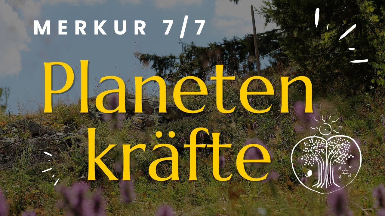 Merkurkr&auml;fte ESSENZEN 7/7 | Christoph Pollak